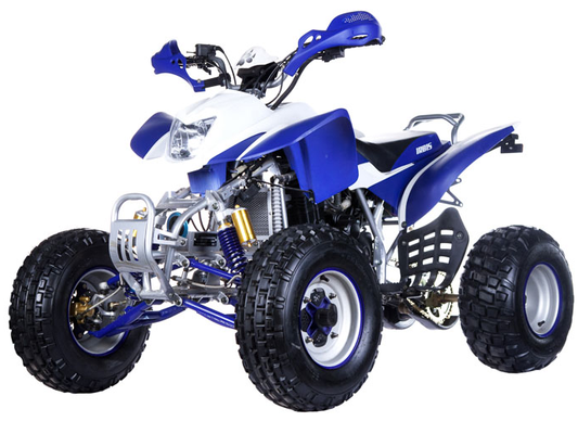 Фото квадроцикла IRBIS 250S